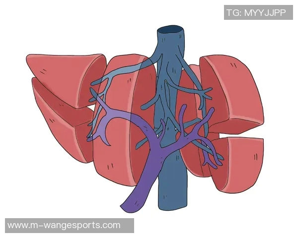 陈娜畅谈DOTA2职业生涯与心路历程的深度专访回顾